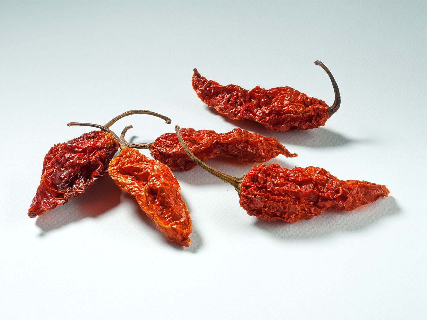Naga Bhut Jolokia wędzona w całości 10g